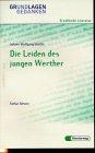 Johann Wolfgang Goethe: Die Leiden des jungen Werther (Grundlagen und Gedanken zum Verständnis erzählender Literatur, Band 11)