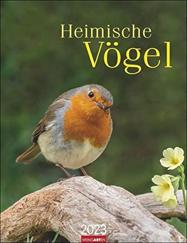 Heimische Vögel Kalender 2023