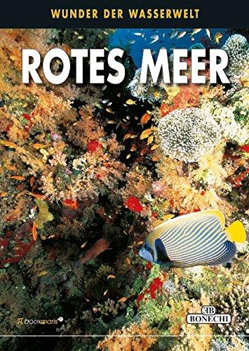 Rotes Meer: Wunder der Wasserwelt (PiBoox Maris)