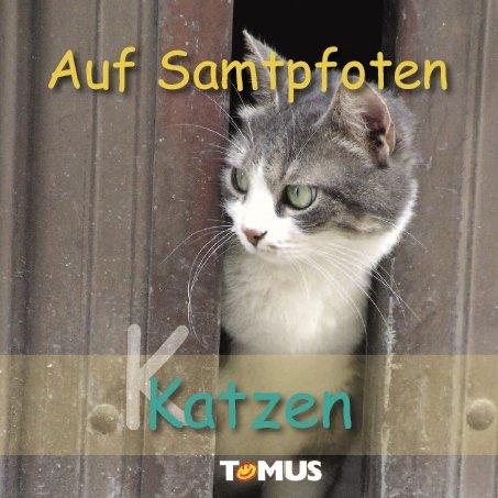 Katzenfreunde: Auf Samtpfoten