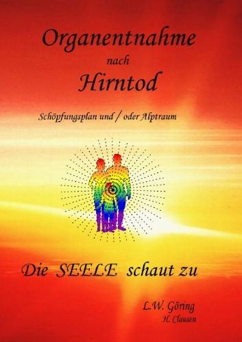 Organentnahme nach Hirntod: Die Seele schaut zu