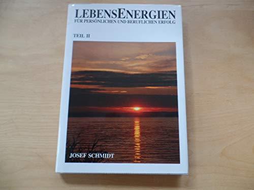 Lebensenergien für persönlichen und beruflichen Erfolg; Teil: Teil 2.