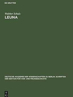 Leuna: Ein germanischer Bestattungsplatz der spätromischen Kaiserzeit