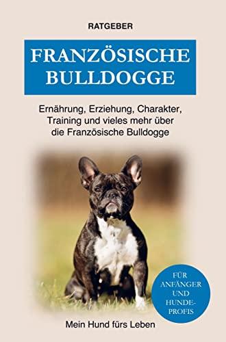 Französische Bulldogge: Training, Erziehung, Ernährung, Charakter und einiges mehr über die Französische Bulldogge