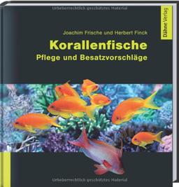 Korallenfische: Pflege und Besatzvorschläge