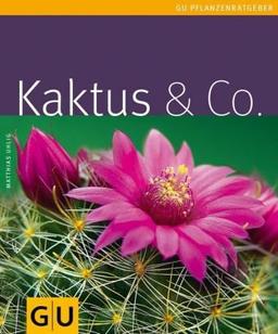 Kaktus & Co.