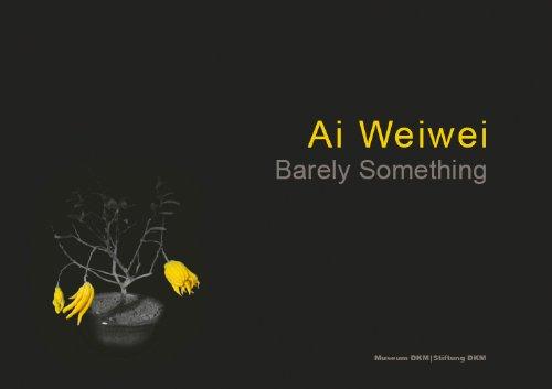 Ai Weiwei - Barely Something