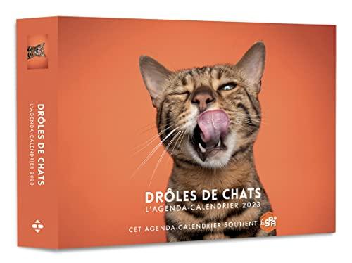 Drôles de chats : l'agenda-calendrier 2023