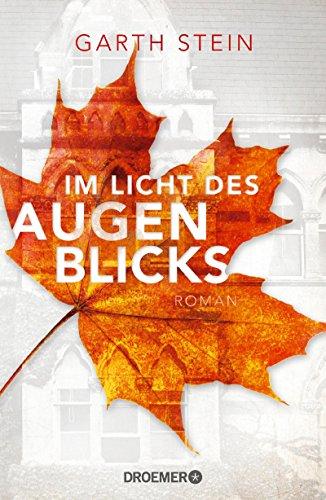 Im Licht des Augenblicks: Roman