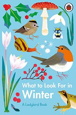 What to Look For in Winter (A Ladybird Book)