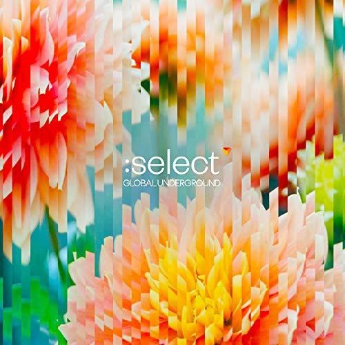 Global Underground:Select #5