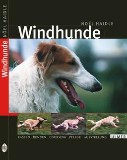 Windhunde