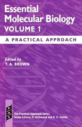 Essential Molecular Biology: A Practical Approach