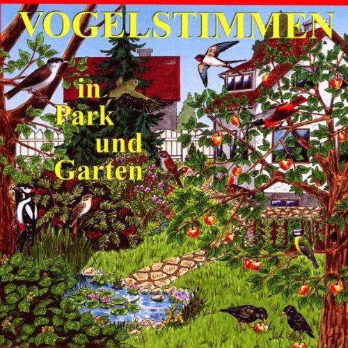 Vogelstimmen-Serie. Vogelstimmen in Park und Garten /in Feld und Flur /am Wasser /im Wald /in Heide, Moor und Sumpf /am Meer /im Gebirge: Vogelstimmen ... Star, Türkentaube, Zaunkönig: Ed. 1