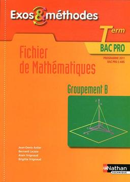 Fichier de mathématiques : term bac pro, groupement B : programme 2011, bac pro 3 ans