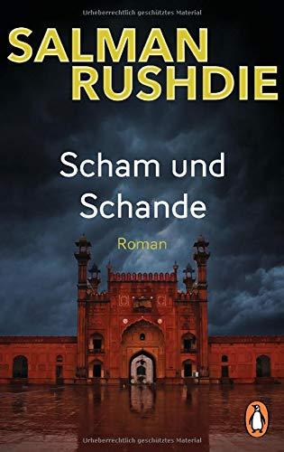 Scham und Schande: Roman