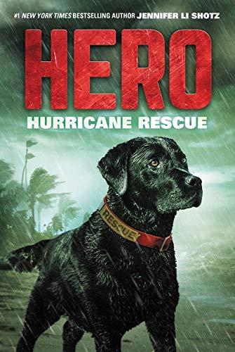 Hero: Hurricane Rescue (Hero, 2, Band 2)