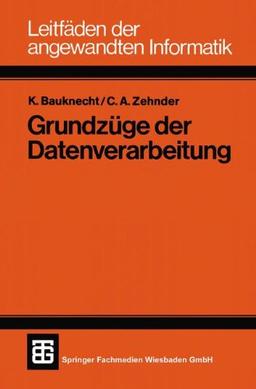 Grundzüge der Datenverarbeitung: Methoden und Konzepte für die Anwendungen (Leitfäden der Informatik)