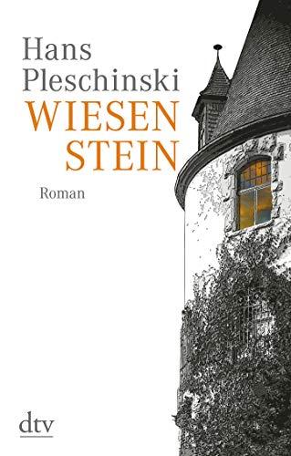 Wiesenstein: Roman