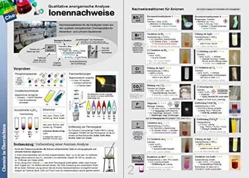 Qualitative anorganische Analyse: Ionennachweise