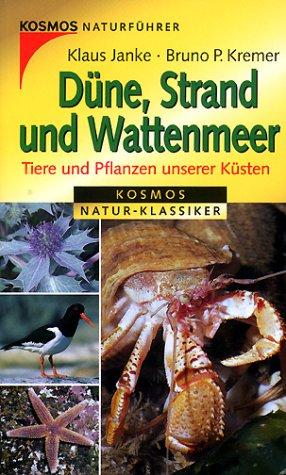 Düne, Strand und Wattenmeer