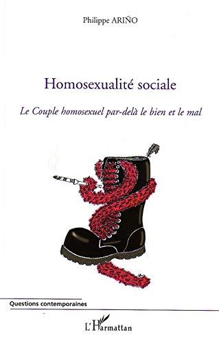 Homosexualité sociale : le couple homosexuel par-delà le bien et le mal