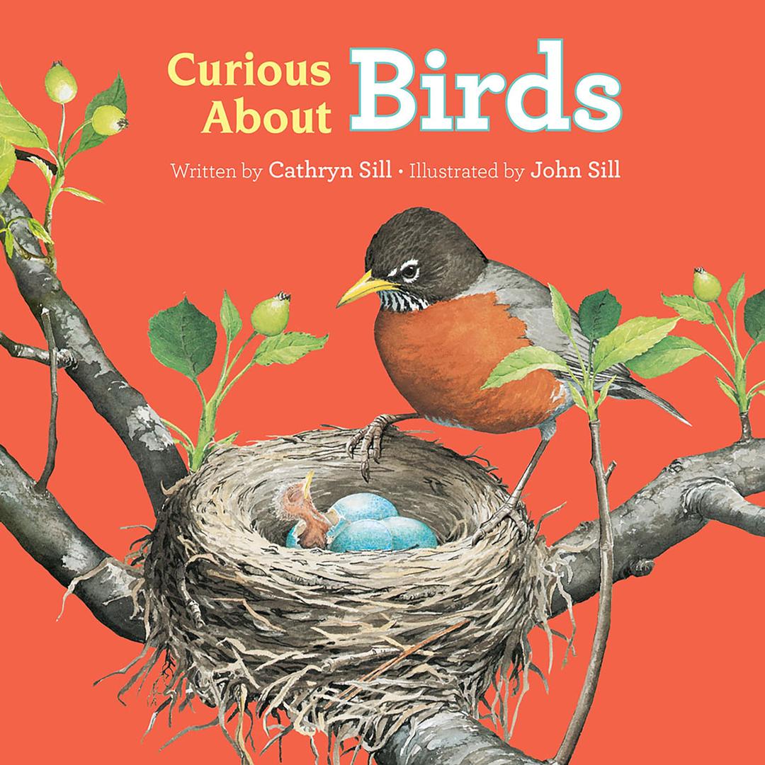 Curious About Birds (Discovering Nature, Band 1)