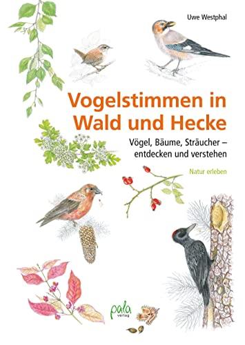 Vogelstimmen in Wald und Hecke: Vögel, Bäume, Sträucher - entdecken und verstehen