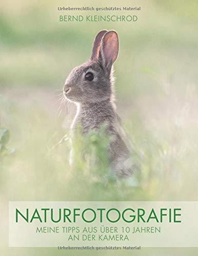 Naturfotografie: Meine Tipps aus über 10 Jahren an der Kamera