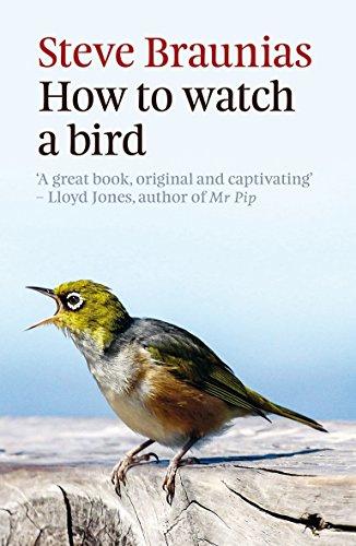 How to Watch a Bird