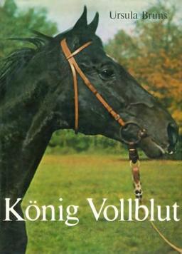 König Vollblut