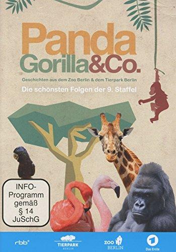 Panda, Gorilla & Co. - Die besten Folgen der 9. Staffel