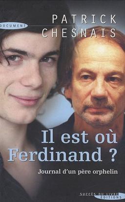 Il est où, Ferdinand ? : journal d'un père orphelin