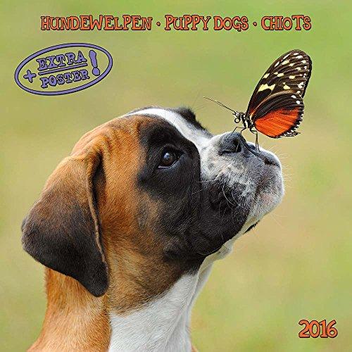 Puppy Dogs/Hundewelpen 2022: Kalender 2022 (Artwork Media)