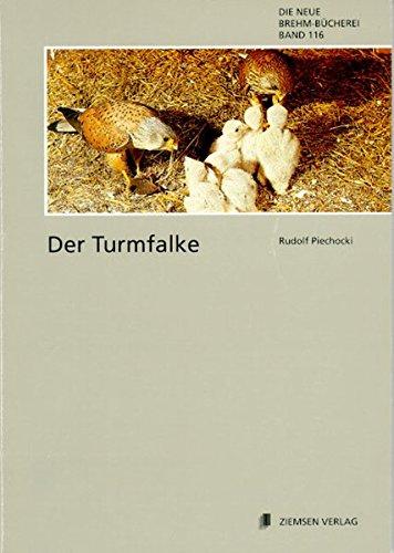 TURMFALKE