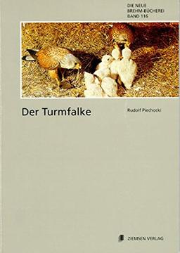 TURMFALKE