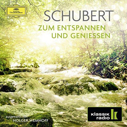 Schubert - zum Entspannen und Genießen (Klassik Radio)