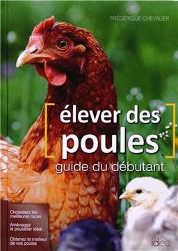 Elever des poules : guide du débutant