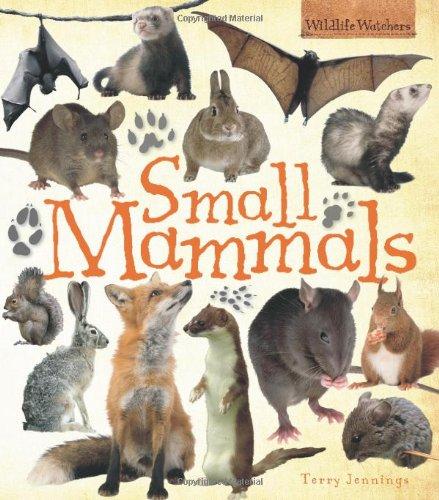 Small Mammals (Wildlife Watchers)