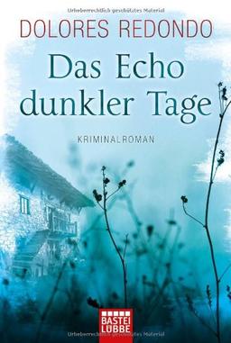 Das Echo dunkler Tage: Kriminalroman