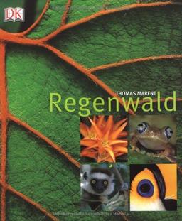 Regenwald