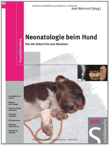 Neonatologie beim Hund: Von der Geburt bis zum Absetzen