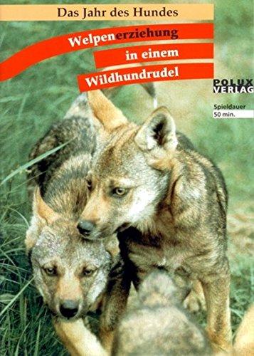 Welpenerziehung in einem Wildhundrudel: Das Jahr des Hundes