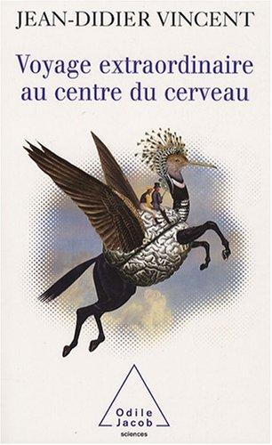 Voyage extraordinaire au centre du cerveau