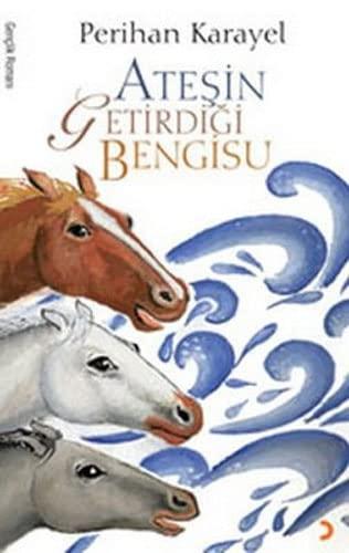 ATEŞİN GETİRDİĞİ BENGİSU