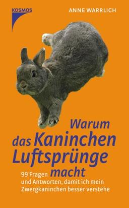 Warum das Kaninchen Luftsprünge macht