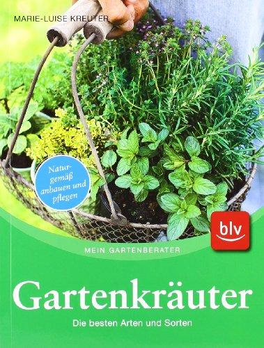 Gartenkräuter: Die besten Arten und Sorten