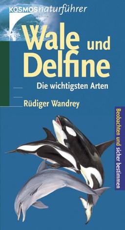 Wale und Delfine. Die 64 wichtigsten Arten