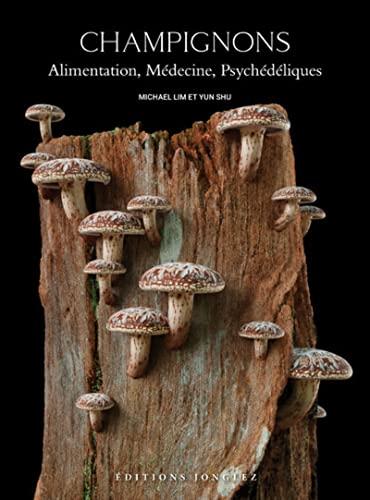 Champignons : alimentation, médecine, psychédéliques