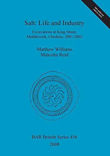 Salt - Life and Industry: Excavations at King Street, Middlewich, Cheshire, 2001-2002 (BAR British)